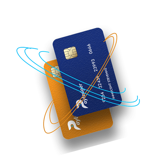 Payledger physical and virtual cards